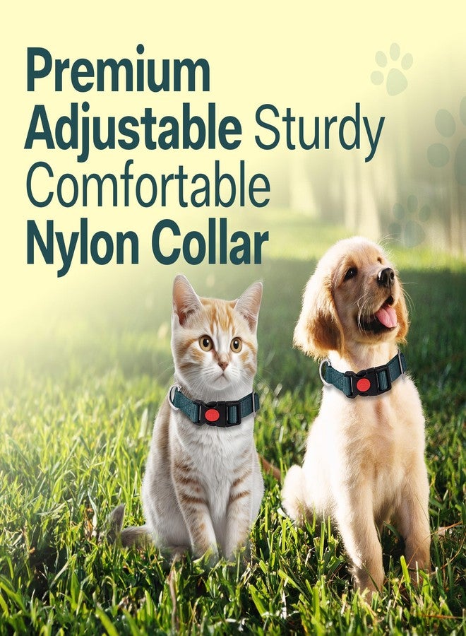 ADIL's Adjustable 19mm Nylon Dog & Cat Collar - Suitable for Small & Medium Sized Dogs, Cats & Rabbits with Quick Release Strong Plastic Lock Buckle, Colour:Hunter Green,Size: S - Image 5